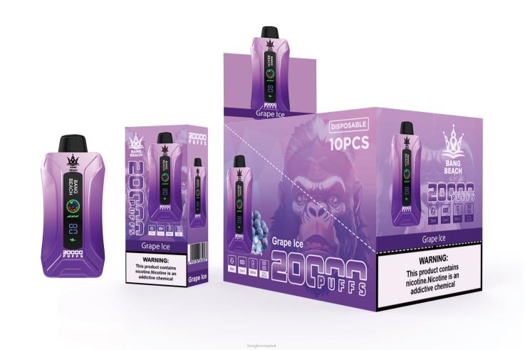 Bang Box Vape 2P2PT10 Grape Ice - Bang Beach 20000 Puffs Smart Screen Vape