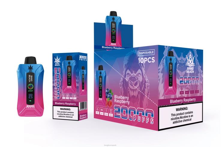 Vape Bang Box 2P2PT12 Blueberry Raspberry - Bang Beach 20000 Puffs Smart Screen Vape