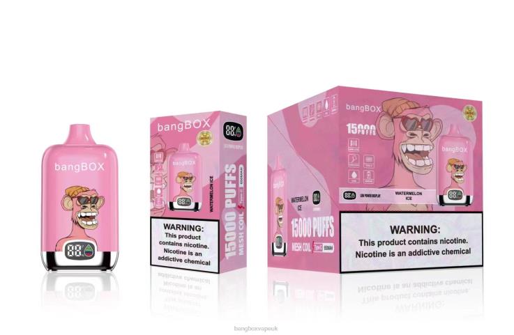 Bang Beach Vape 2P2PT45 Watermelon Ice - Bang Box 15000 Puffs