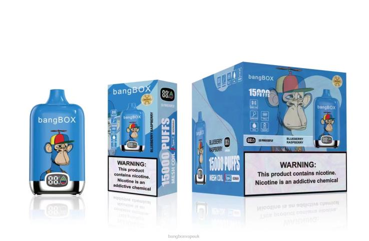 Bang Box Vape 2P2PT46 Blueberry Raspberry - Bang Box 15000 Puffs