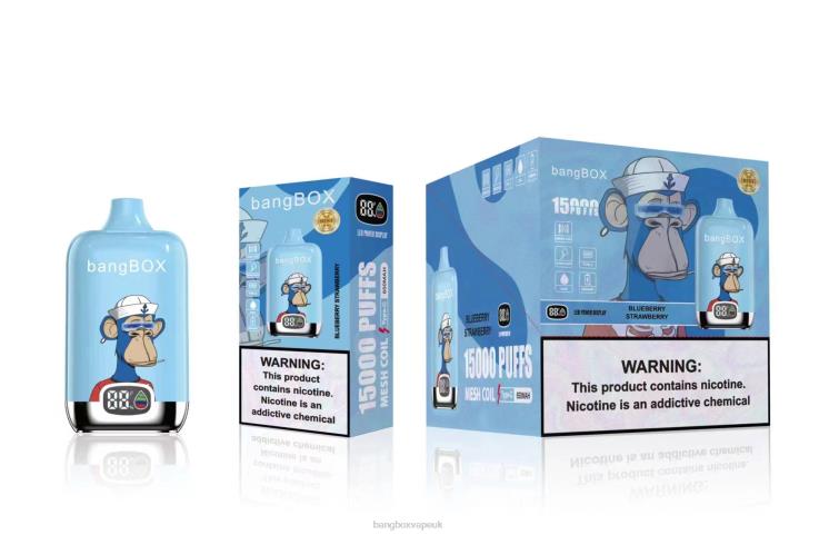 Bang Vape UK 2P2PT38 Blueberry Strawberry - Bang Box 15000 Puffs