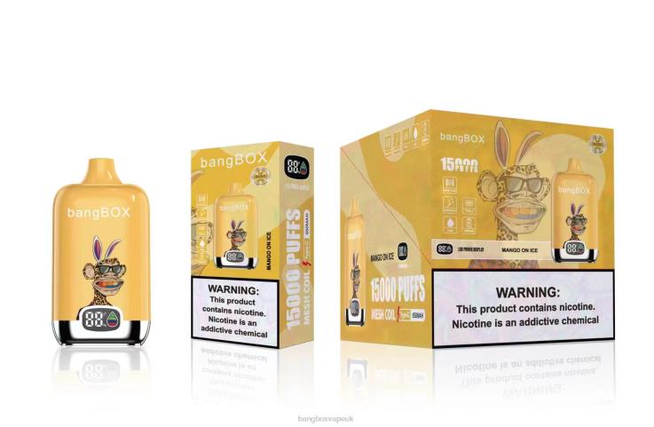 Vape Bang Box 2P2PT48 Mango On Ice - Bang Box 15000 Puffs