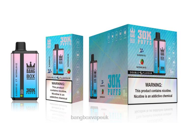 Bang Beach Vape 2P2PT69 Blueberry Ice & Watermelon Ice - Bang Box 30000 Puffs Dual Flavors